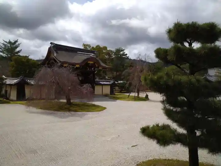 大覚寺(京都府)