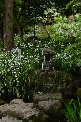 妙義神社(群馬県)