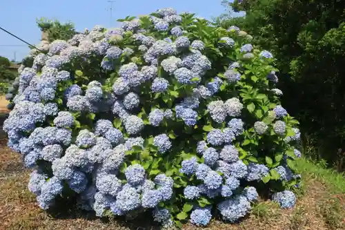 熊野福藏神社の庭園