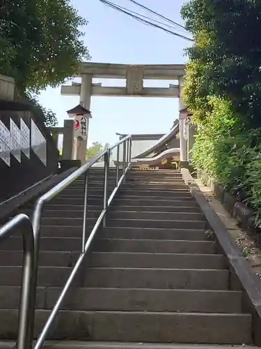 赤羽八幡神社の鳥居