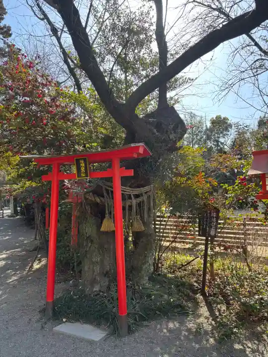 冠稲荷神社の{uncategorized: "未分類", other: "その他", undefined: "問題あり", building: "その他建物", grave: "お墓", sacred_gate: "鳥居", guardian: "狛犬", statue: "像", buddha: "仏像", history: "歴史", nature: "自然", garden: "庭園", animal: "動物", pagoda: "塔", temizu: "手水舎", mountain_gate: "山門・神門", sanctuary: "本殿・本堂", subordinate: "末社・摂社", art: "芸術", scenery: "景色", jizo: "地蔵", ema: "絵馬", goshuin: "御朱印", omikuji: "おみくじ", items: "授与品その他", amulet: "お守り", goshuincho: "御朱印帳", eats: "食事", festival: "お祭り", votive_dance: "神楽", shichigosan: "七五三参", wedding: "結婚式", experience: "体験その他", initially: "初詣", around: "周辺", anti_infection: "感染症対策"}