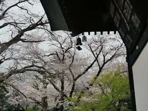 淨眞寺の自然