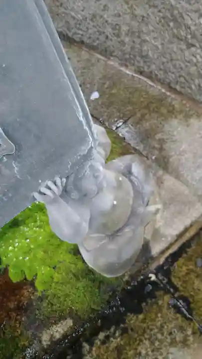 柳谷観音 楊谷寺の像