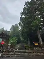平泉寺白山神社(福井県)