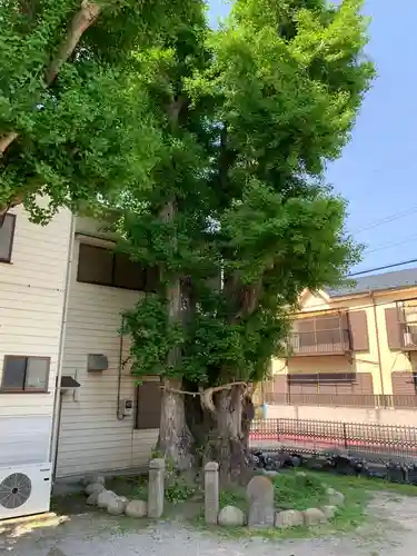 香取神社(千葉県)
