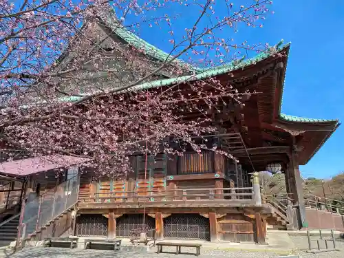 護国寺の本殿・本堂