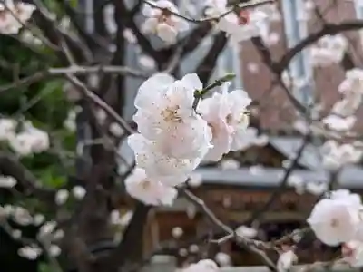 福徳神社（芽吹稲荷）(東京都)