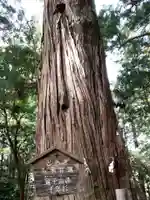 鷲子山上神社のその他建物
