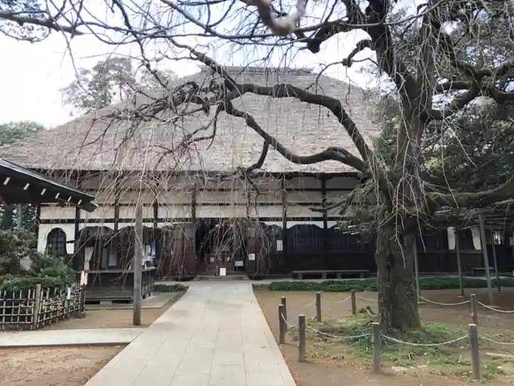 茂林寺の本殿・本堂