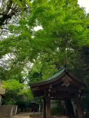 渋谷氷川神社(東京都)