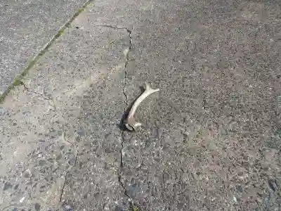 田耕神社(山口県)