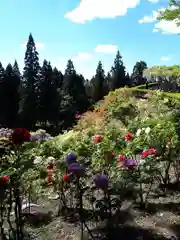 恵光院の庭園
