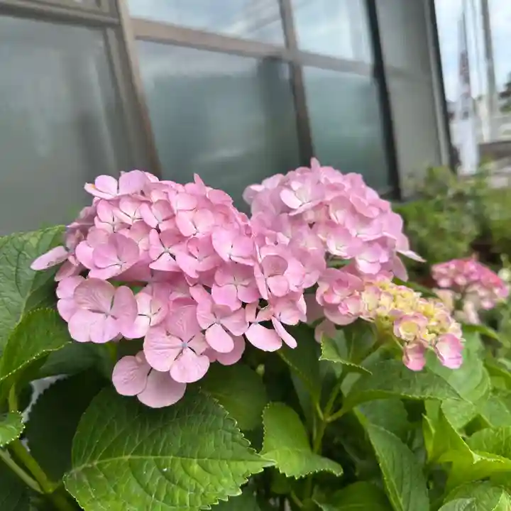 豊景神社(福島県)