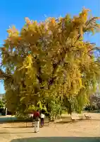吉備津神社(広島県)