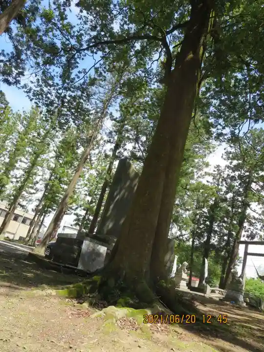 宇奈己呂和気神社の自然