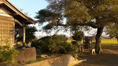 相野谷八幡神社(茨城県)