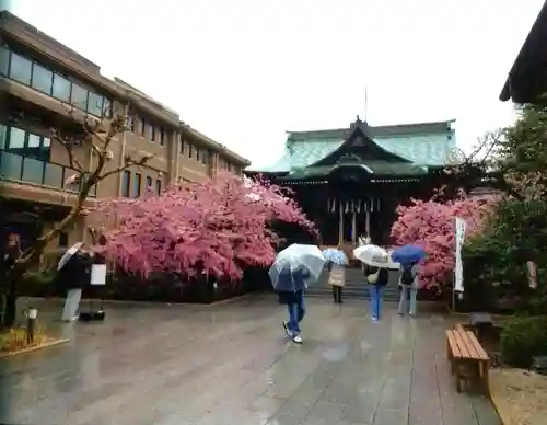 桜神宮(東京都)