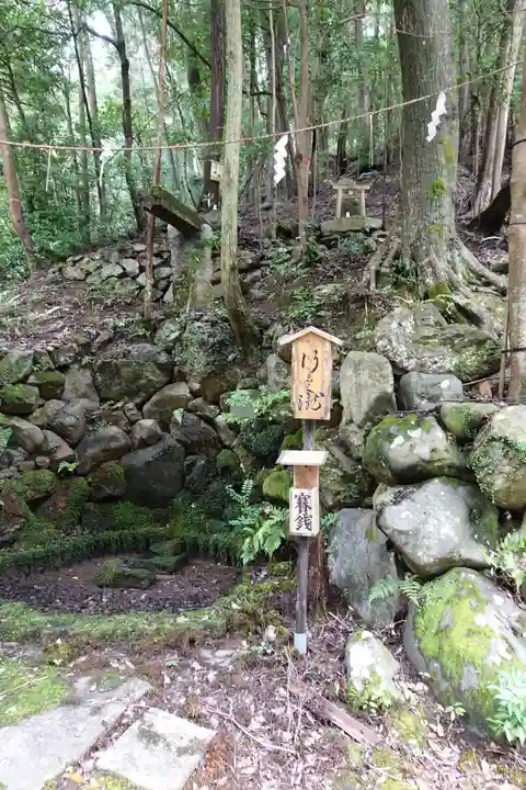 崇道神社の自然