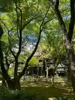 真正極楽寺(真如堂)(京都府)
