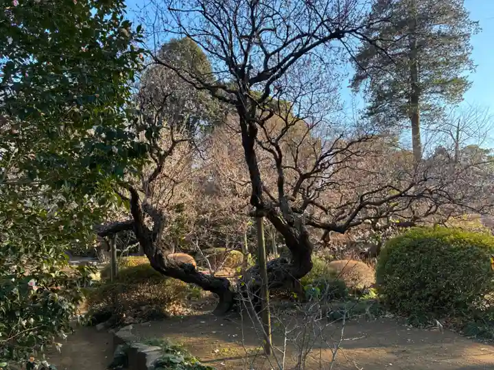 観音寺(千葉県)
