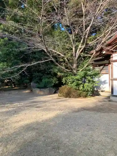 阿佐ヶ谷神明宮(東京都)