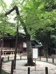 靖國神社の庭園