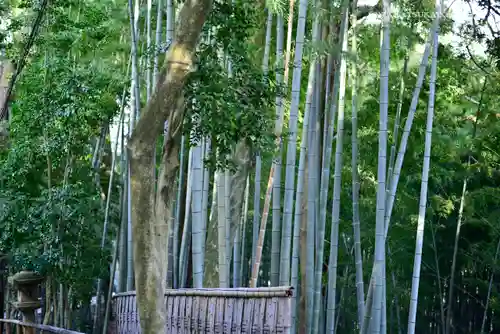 石清水八幡宮(京都府)