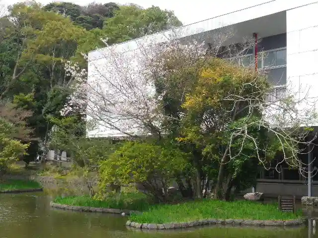 鶴岡八幡宮の自然