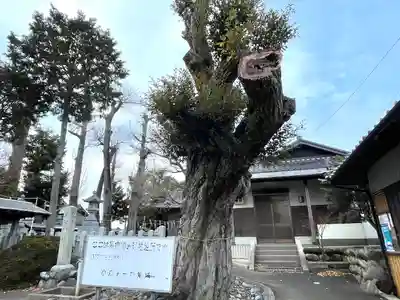 小島八劔神社(三重県)
