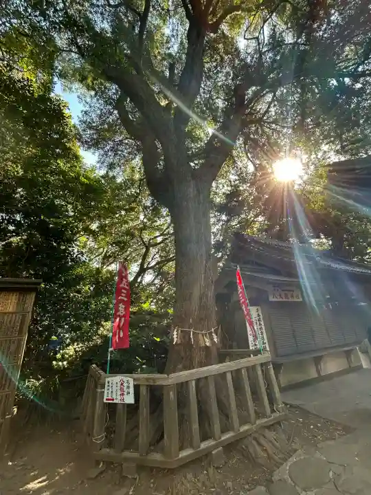 八百富神社(愛知県)