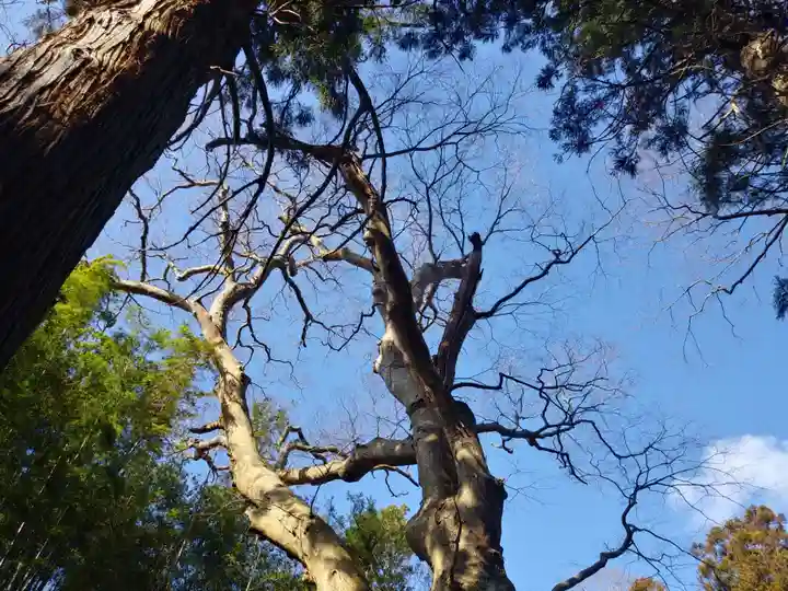 沼尾神社の自然