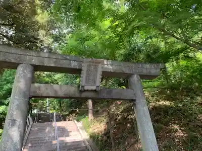 西宮神社の鳥居