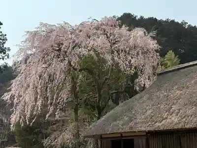 高麗神社(埼玉県)