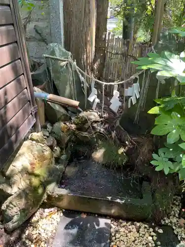 長浜八幡宮(滋賀県)