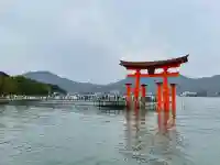 厳島神社(広島県)