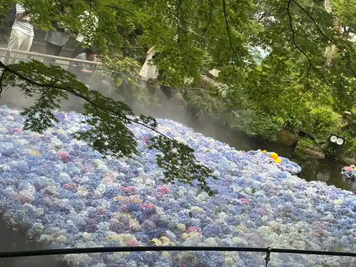 楽法寺(雨引観音)の{uncategorized: "未分類", other: "その他", undefined: "問題あり", building: "その他建物", grave: "お墓", sacred_gate: "鳥居", guardian: "狛犬", statue: "像", buddha: "仏像", history: "歴史", nature: "自然", garden: "庭園", animal: "動物", pagoda: "塔", temizu: "手水舎", mountain_gate: "山門・神門", sanctuary: "本殿・本堂", subordinate: "末社・摂社", art: "芸術", scenery: "景色", jizo: "地蔵", ema: "絵馬", goshuin: "御朱印", omikuji: "おみくじ", items: "授与品その他", amulet: "お守り", goshuincho: "御朱印帳", eats: "食事", festival: "お祭り", votive_dance: "神楽", shichigosan: "七五三参", wedding: "結婚式", experience: "体験その他", initially: "初詣", around: "周辺", anti_infection: "感染症対策"}