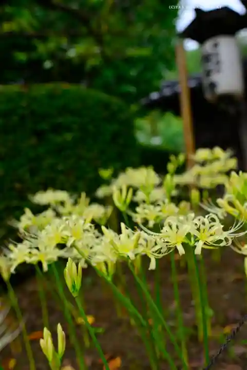 横浜 西方寺(神奈川県)