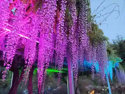 金蛇水神社(宮城県)