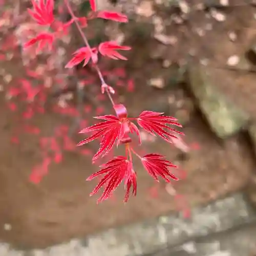 滑川神社 - 仕事と子どもの守り神の自然