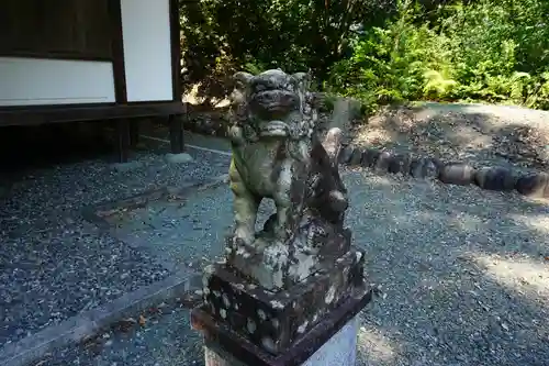 奥泉大井神社の狛犬