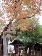 阿邪訶根神社(福島県)