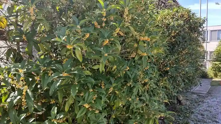 秩父札所十三番 慈眼寺(埼玉県)