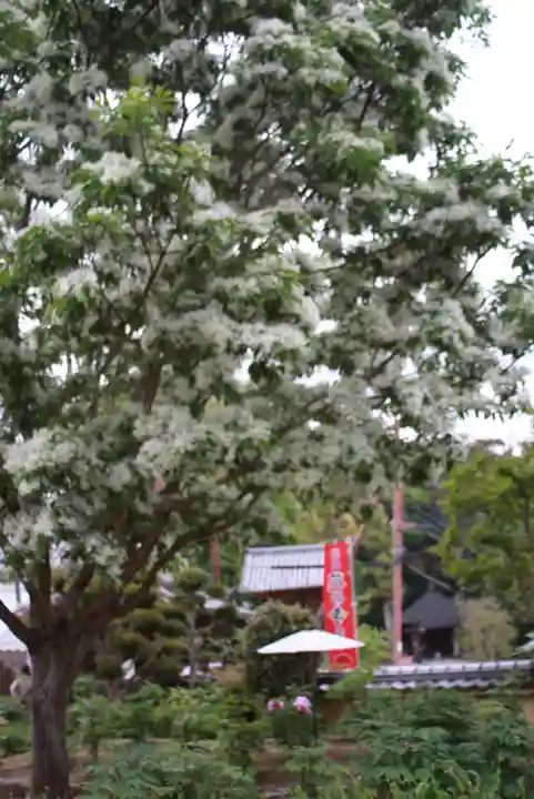 當麻寺西南院(奈良県)
