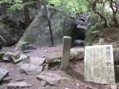 名草厳島神社の自然