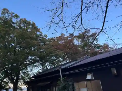 石清水八幡宮(京都府)