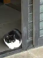 白金氷川神社(東京都)