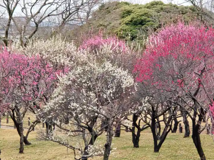 多治速比売神社(大阪府)