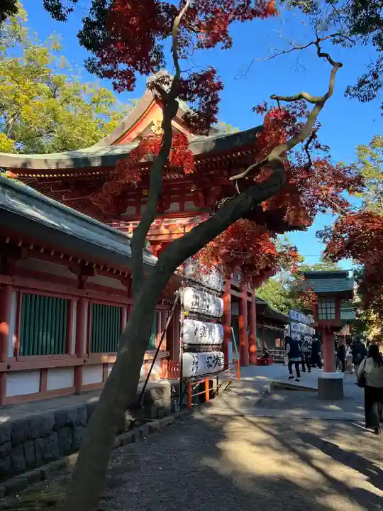 武蔵一宮氷川神社(埼玉県)
