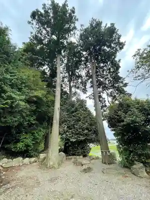 諸木神社(滋賀県)