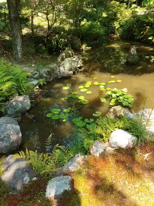 護国之寺の庭園